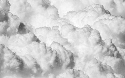 Where will your life insurance end up?