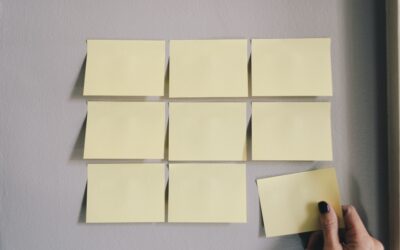 Estate planning for sole directors of private companies