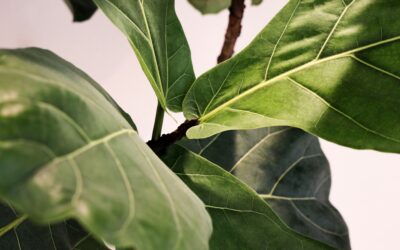 Why do I need to think about what happens to my super when I die?