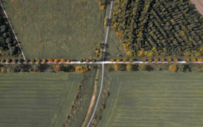 They helped us navigate tricky South Australian probate