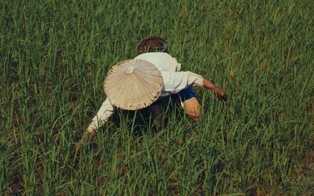 Solution Brief: Guardianship Plan Checklist 