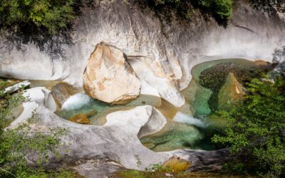 Testimonial: “Our expectations were high and in fact, Andrew exceeded them.”