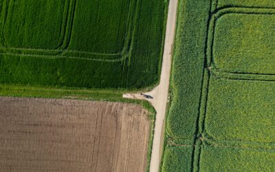 How do pre-emption rights work?