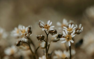 You’re hired! Strategies to improve your recruitment process