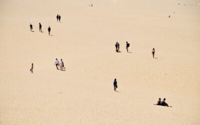 They got my litigation back on track