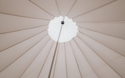 Not your typical lawyers