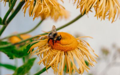 We won on every point