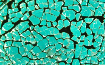 Nothing was too much trouble