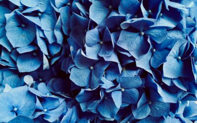 Co-Ownership Agreements v. Binding Financial Agreements: Which one is right for me?