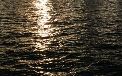 How to make sure the wealth in your family trust ends up where you intend