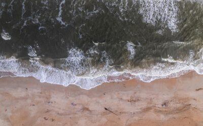 Can your partner change their Will after you die?