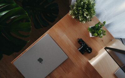 It’s all in the name: how to protect your business and domain names