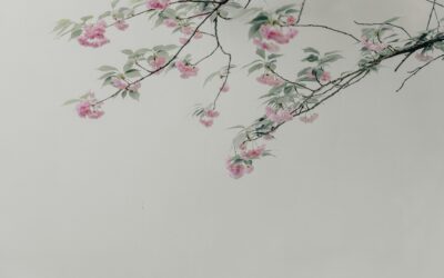 Severing joint tenancy in NSW