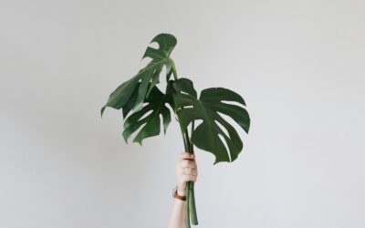 Binding Financial Agreements: What to Expect