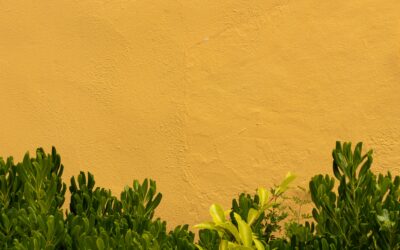 Your Executors and Trustees