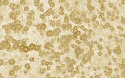 What are my options for owning and managing property jointly?  How can I avoid disputes with my co-owner?