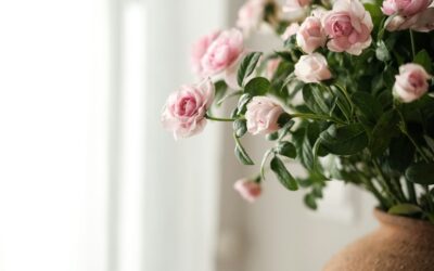 Is it worth transferring your home to your spouse?