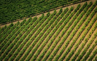 Should you own your farmland in Super?