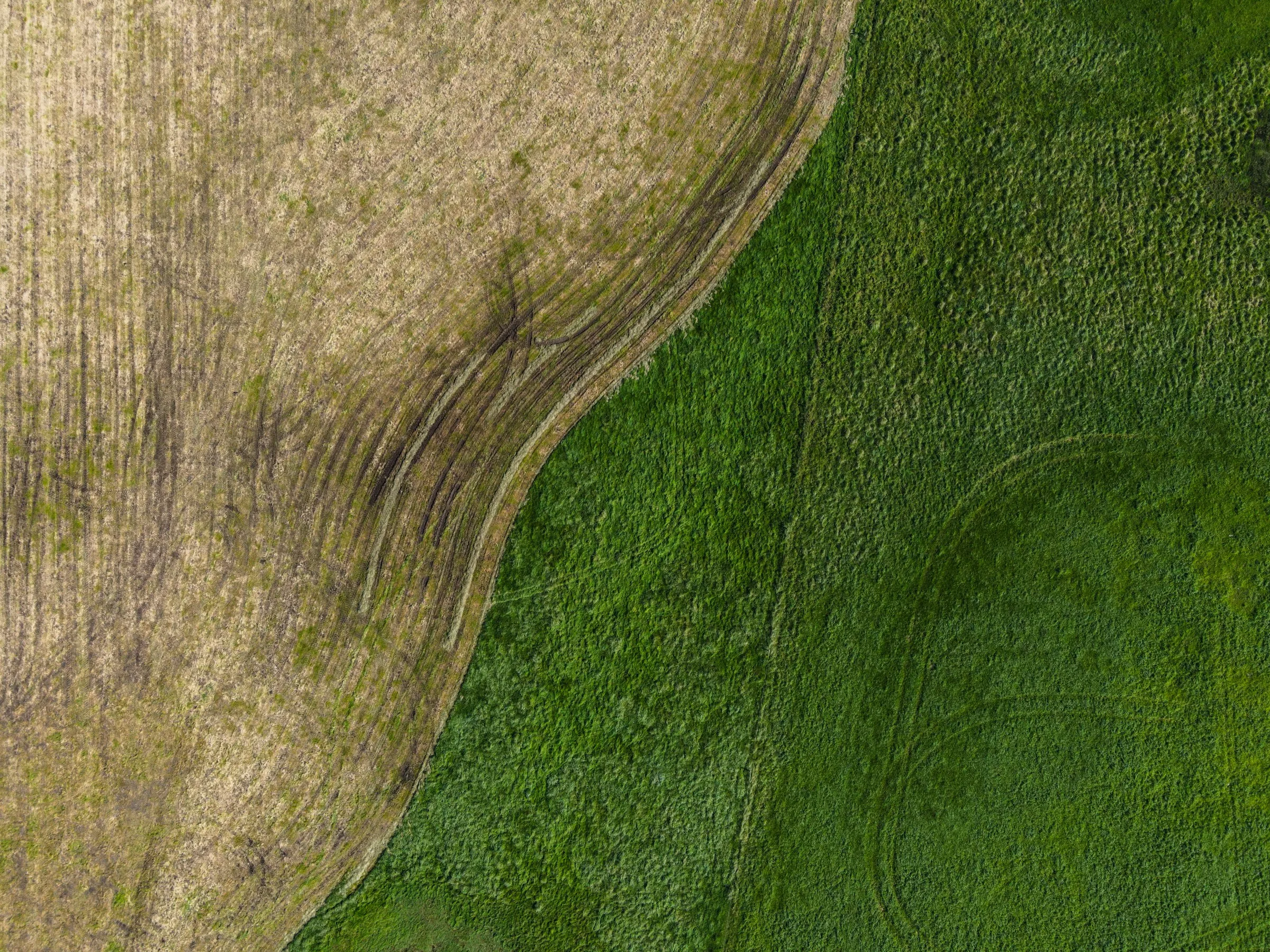 Land tax advice