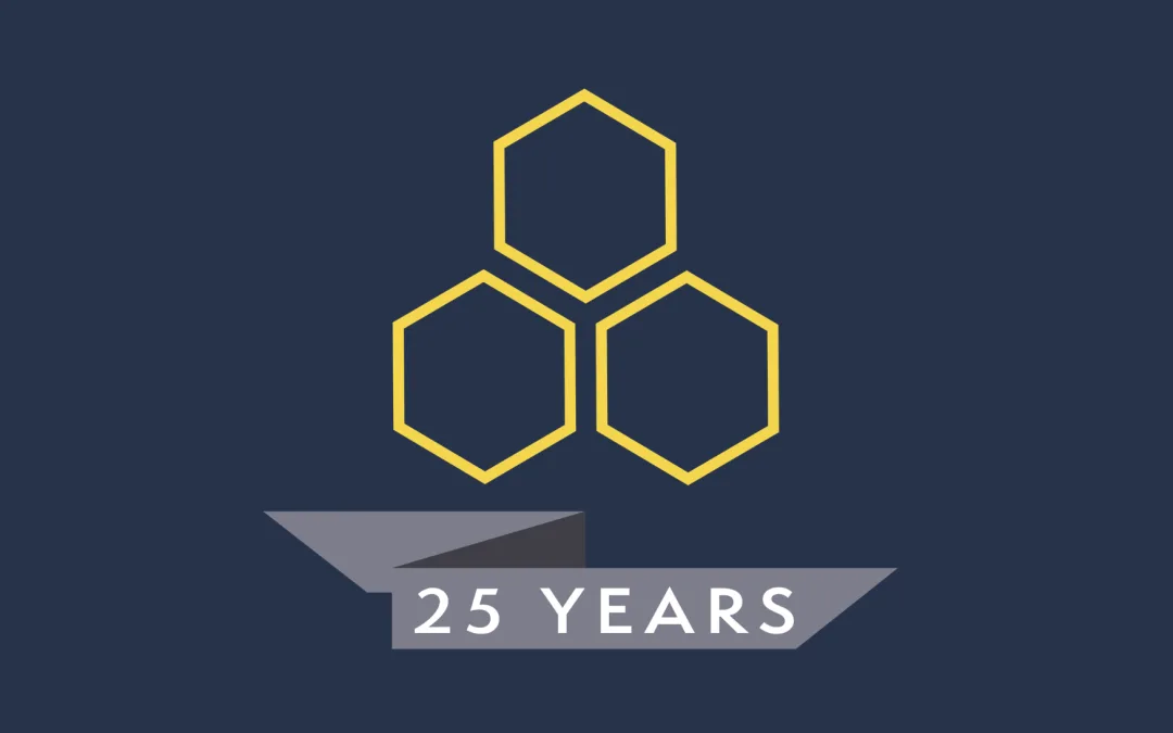 Reflections on 25 years of ADLV Law