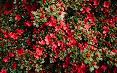 We have found Andrew’s presentations invaluable in helping our clients