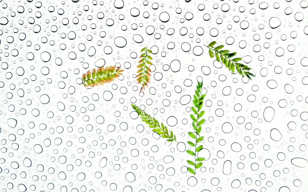 Protecting your trust: planning for trustee incapacity before it happens