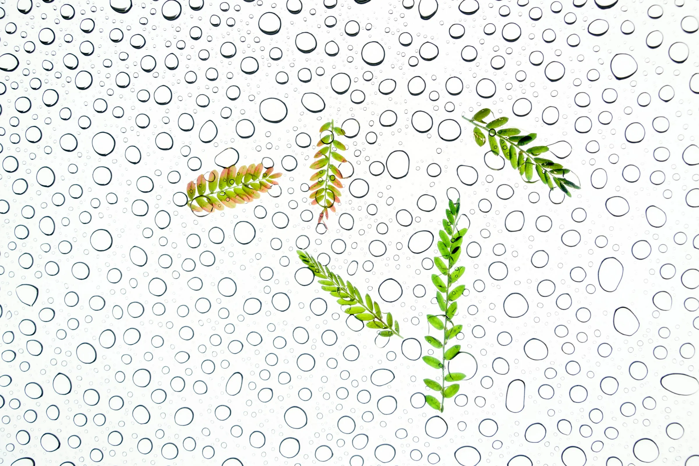 Protecting Your Trust: Planning for Trustee Incapacity Before It Happens