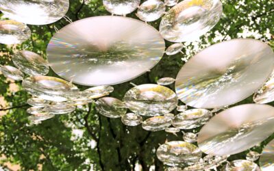 The Personal Property Securities Register (PPSR) in a nutshell