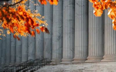 Have you been served? Litigation steps: from claim to court verdict