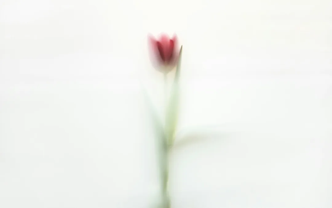 Unfair dismissal vs general protections: what employers need to know