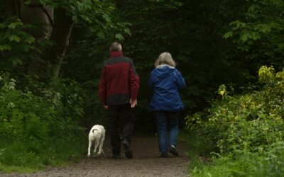 What is the superannuation transfer balance cap and why should you care?