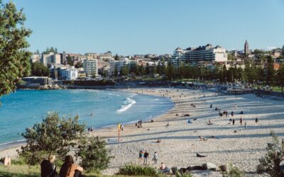 Solution Brief: Powers of Attorney (NSW)