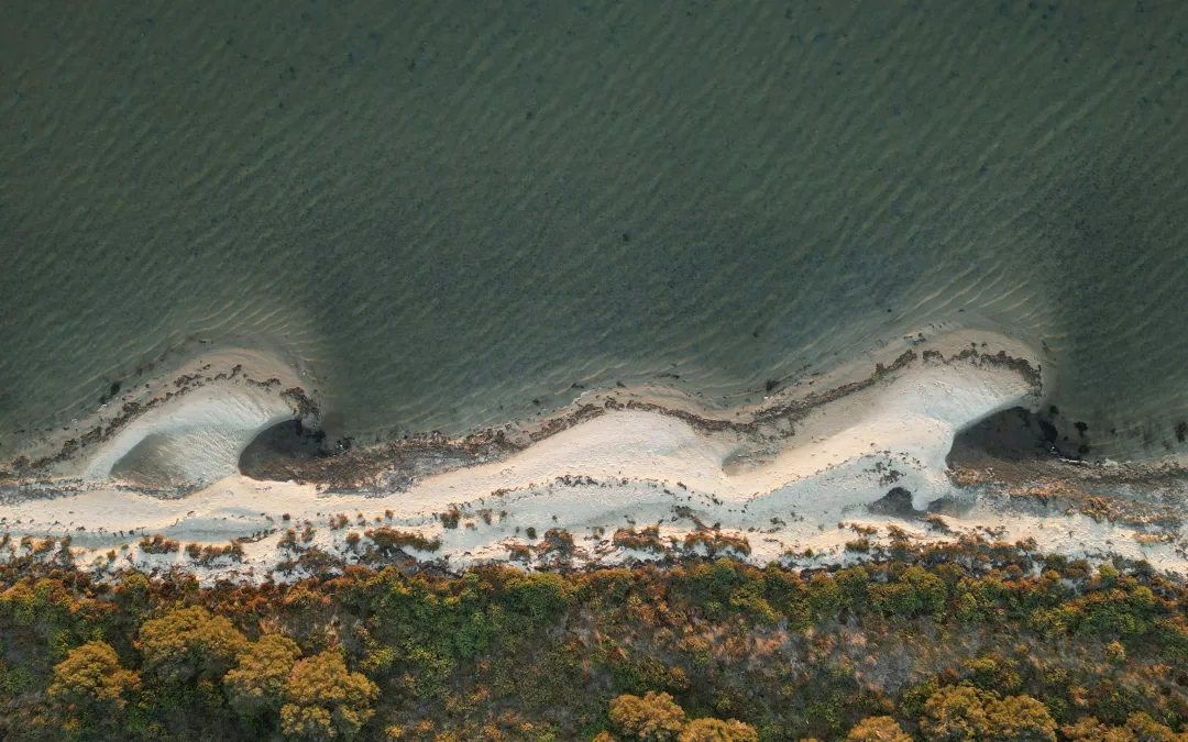 Rising probate costs: how court fees and legal costs impact estates 