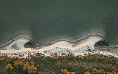 Rising probate costs: how court fees and legal costs impact estates 