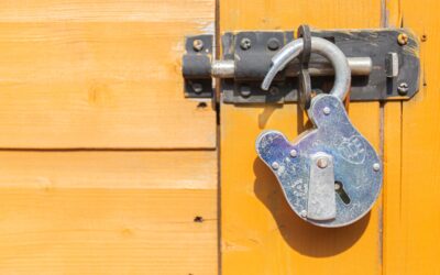 Limiting liability is not enough – you also need asset protection