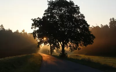 Blended families & superannuation: getting your BDBN right