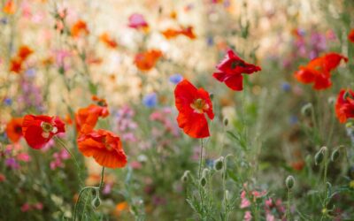 A good strategy, a good experience and a good outcome