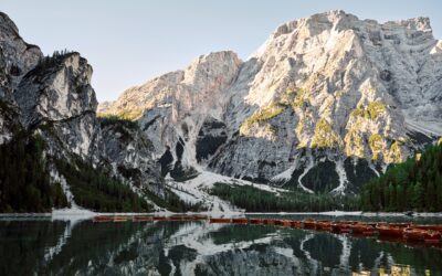 We realised it was costing us more… much more… by not getting professional advice