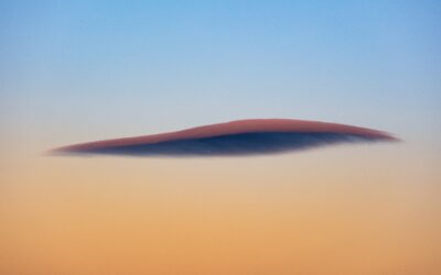 8 Common Misconceptions About Wills