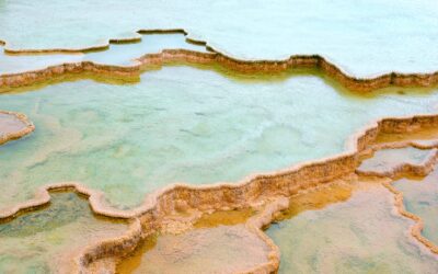 Are you going to be personally responsible for your company’s debts?