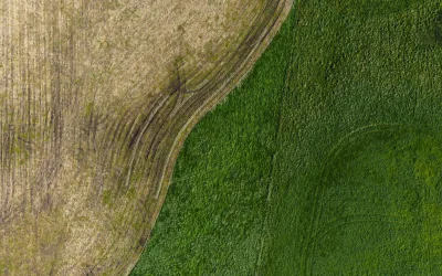 Can you gift company assets in your Will? 