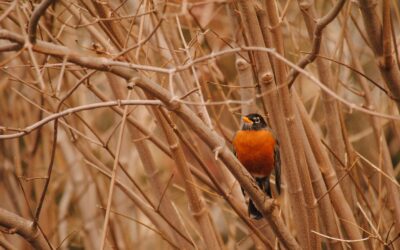 Wonderful people who have done a wonderful job