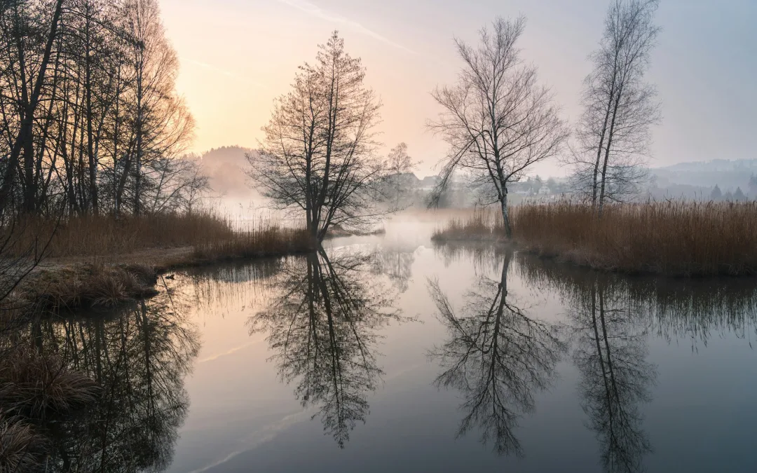 The governance guide for family businesses part 4: Management and executives 