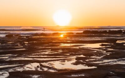Should trust succession be part of my Will?