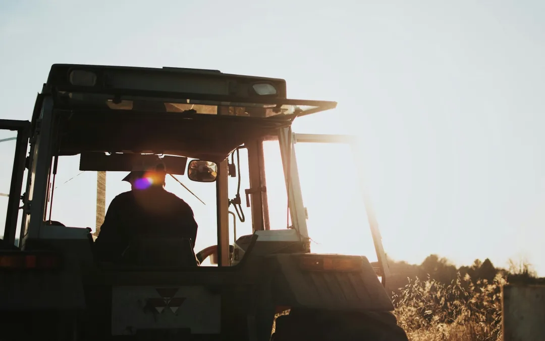 Being a director of a family farm: it’s more than a title 