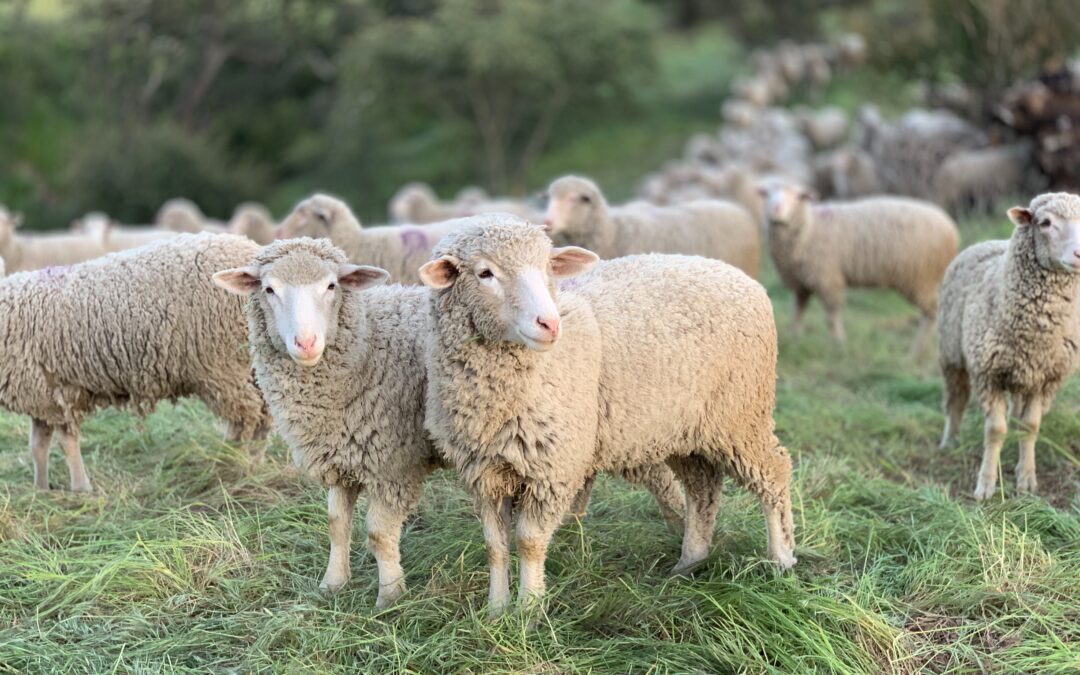 How to pass on your farm