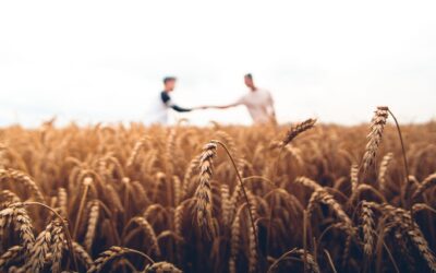 Farm Trusts | Stamp duty relief on farm transfers in South Australia